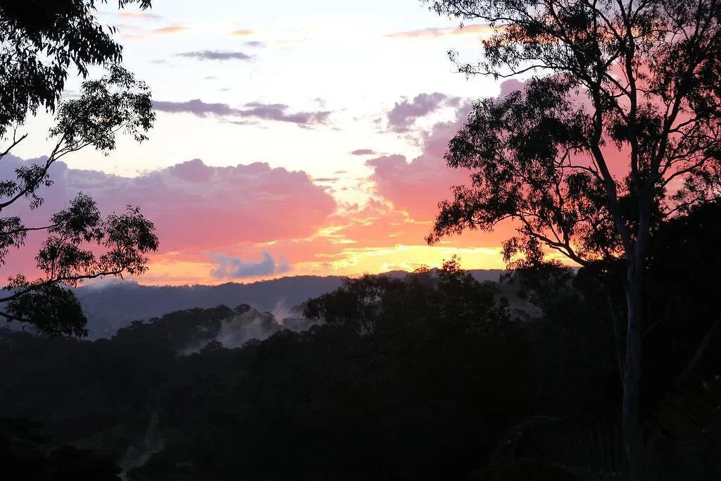 Phoenix Eumundi